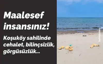 Maalesef İnsansınız!