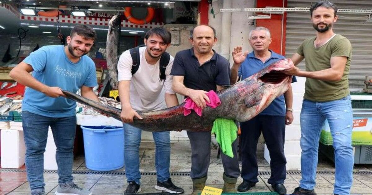 Dev yayın balığı herkesin ilgi odağı oldu
