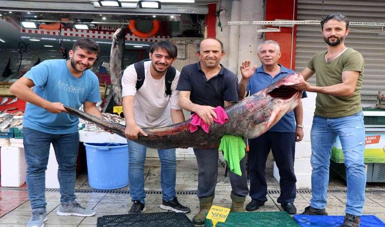 Dev yayın balığı herkesin ilgi odağı oldu
 - Samsun’da satışa sunulan 2 metre uzunluğunda ve 108 kilogram ağırlığındaki dev yayın balığı vatandaşların ilgi odağı oldu.
