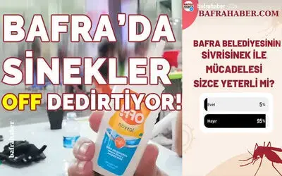 Bafra’da Sinekler Off Dedirtiyor!