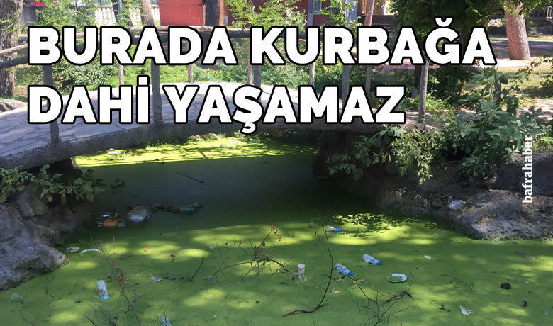 Büyükpark’taki Su Kanalında Kurbağa Dahi Yaşamaz! - Bafra Belediyesi sorumluluğundaki süs havuzu ve sulama kanalında kurbağa dahi yaşamaz.