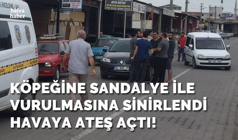 Köpeğine Sandalye İle VurulmasınaSinirlendi Havaya Ateş Açtı - Samsun’un Bafra ilçesinde, köpeğine sandalye ile vurulmasına sinirlenen şahıs pompalı tüfekle havaya ateş açtı.