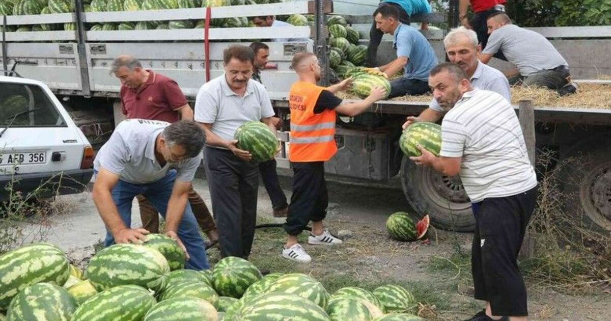 “Karpuz tarlada kalmasın” kampanyası kırsal mahallelerle büyüyor
