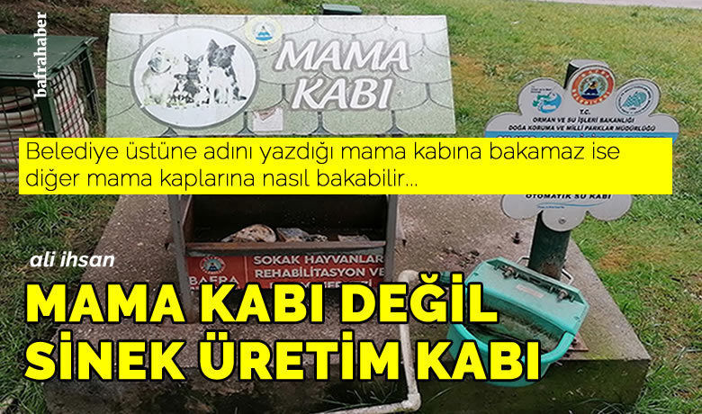 Mama kabı değil sinek üretim kabı - YorumHaber - Bafra Belediyesine Ait Alparslan Türkeş Parkındaki Mama Kabı Çürümüş Mamalar İle Dolu. 