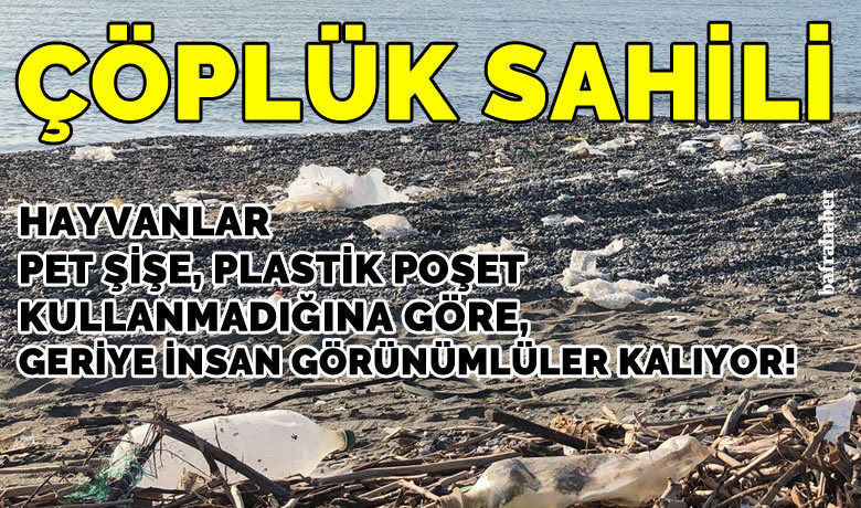Çöplük Sahili! - YorumHaber - Bafra’nın Fener Köyü sahiline denize girmek için gidenler çöplerin arasında serinlemeye çalıştı.