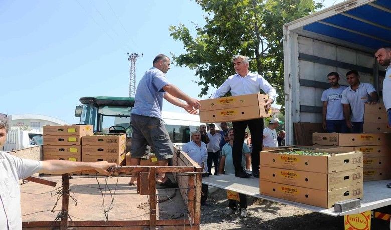 Bafra’da 687 bin kışlık sebze fidesi dağıtıldı - Samsun’un Bafra ilçesinde 55 üreticiye 687 bin 500 adet kışlık sebze fidesi dağıtıldı.