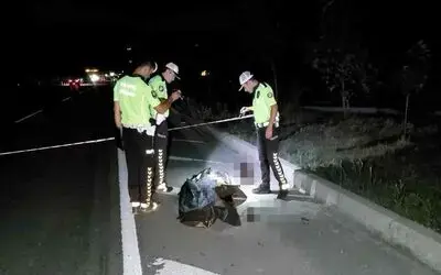 Yol kenarında katı atık toplarken kazada hayatını kaybetti
