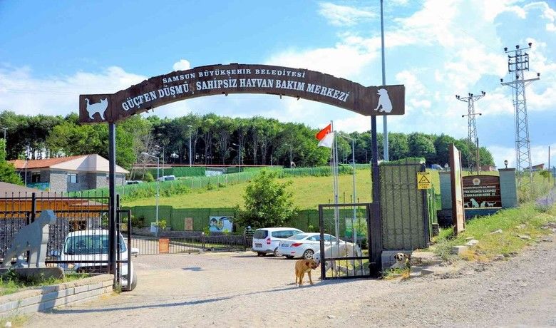 Sokak hayvanları ve yasaklı ırklara konforlu alan
 - Samsun Büyükşehir Belediyesi tarafından sokak hayvanları ve yasaklı ırklar için hazırlanan yeni ünite ile daha konforlu ve sağlıklı yaşam alanı oluşturuluyor.