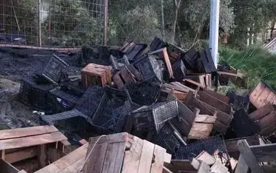 Halde yangın: Ahşap kasalar küle döndü
