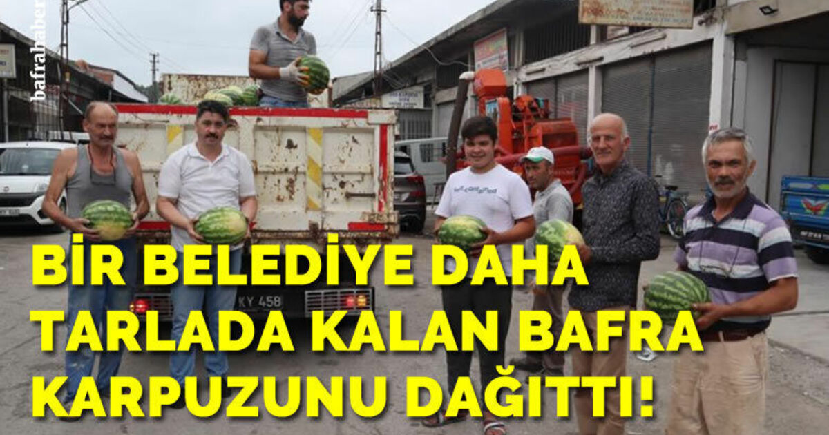 Bir belediye daha tarlada kalan Bafra karpuzunu bedava dağıttı