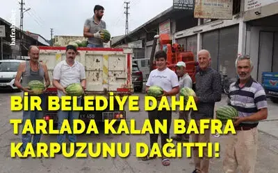 Bir belediye daha tarlada kalan Bafra karpuzunu bedava dağıttı