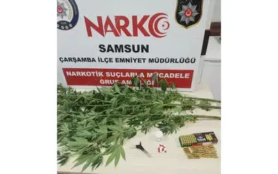 Uyuşturucu operasyonunda 1 kişiye gözaltı
