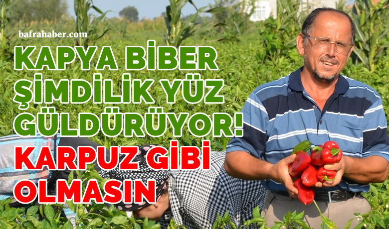 Bafra Ovası’nda kapyabiber üreticinin yüzünü güldürüyor - Samsun’un Bafra Ovası’nda 24 bin dekar alanda üretimi yapılan kapya biber üreticinin yüzünü güldürüyor. Ağustos ayının başında da karpuz üreticinin yüzünü güldürmüş ancak kısa bir sürede fiyatlar dip yapmıştı.