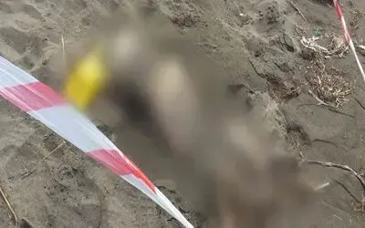 Samsun’da sahilde insan iskeleti bulundu
