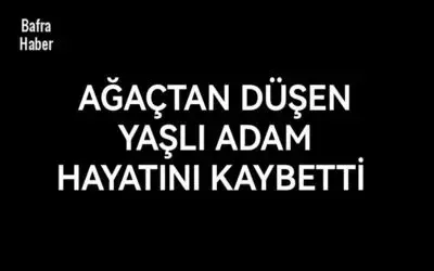 Bafra'da Ağaçtan düşen yaşlı adam hayatını kaybetti