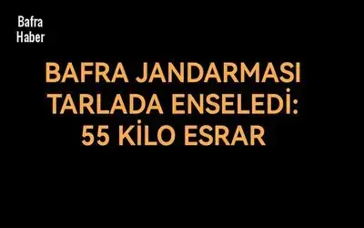 Bafra Jandarması tarlada enseledi!