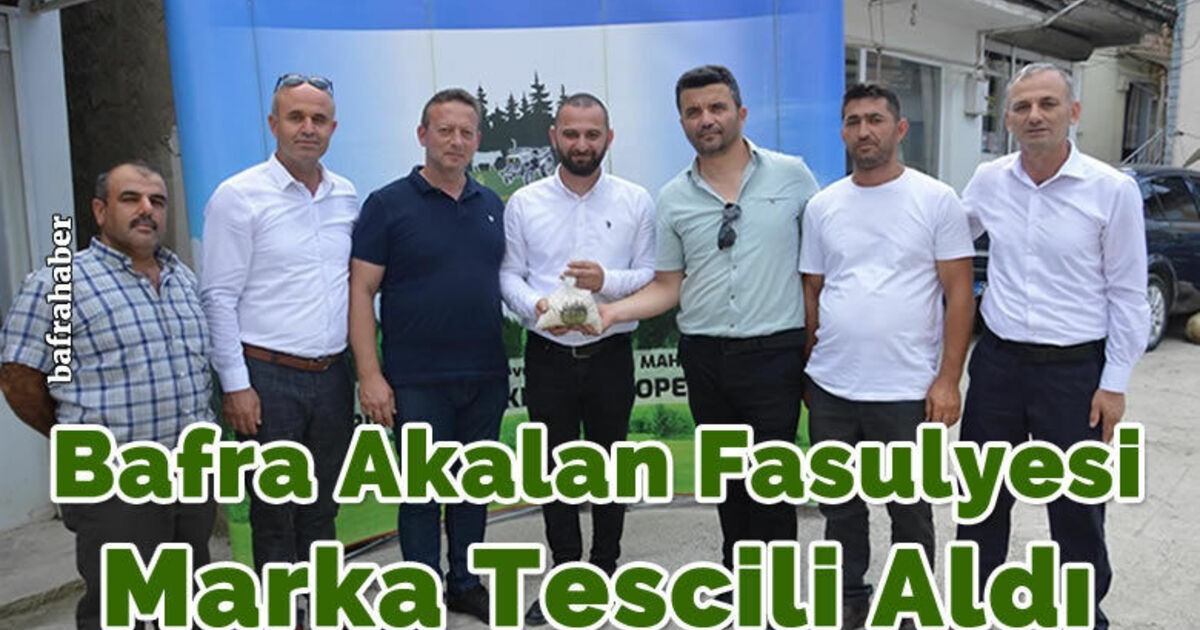 Bafra Akalan Fasulyesi Marka Tescili Aldı