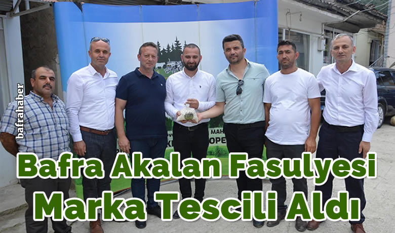 Bafra Akalan Fasulyesi Marka Tescili Aldı