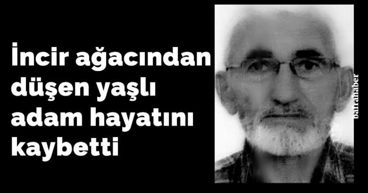İncir ağacından düşen yaşlı adam hayatını kaybetti