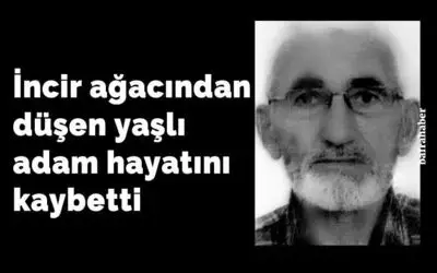 İncir ağacından düşen yaşlı adam hayatını kaybetti