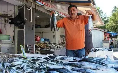 Palamut yüz güldürüyor
