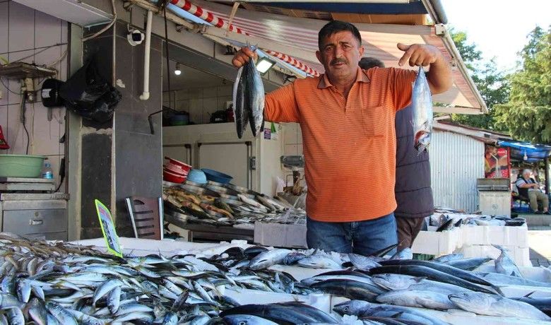 Palamut yüz güldürüyor
 - Samsun’da balık sezonun başlamasıyla birlikte denize açılan balıkçıların yüzü palamutla güldü.