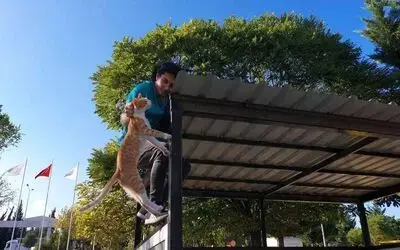 Hastane bahçesindeki çatıda mahsur kalan kediyi personel kurtardı
