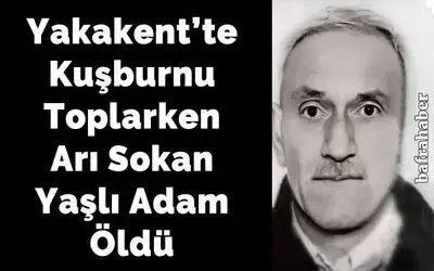 Kuşburnu toplarken arı sokunca öldü