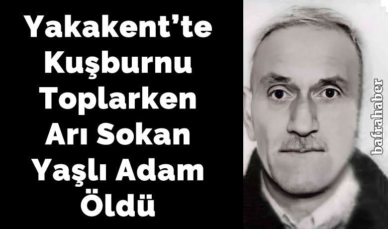 Kuşburnu toplarken arı sokunca öldü