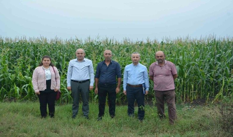 Silajlık mısır hasadı devam ediyor
 - Samsun’un 19 Mayıs ilçesinde, “Yem Bitkisi Ekilişini Artırma Çeşitlendirme Geliştirme Projesi” kapsamında ekimi yapılan silajlık mısırların hasadı devam ediyor.