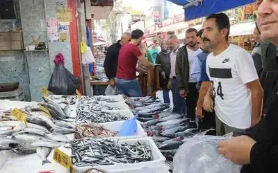 Karadeniz’de palamut zamanı
