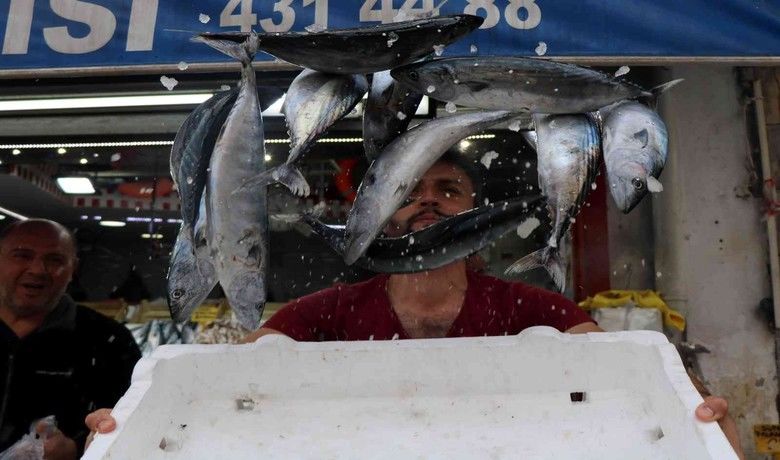 Karadeniz’de balık patlaması
 - Karadeniz’de son yılların en bol balık av sezonu yaşanırken, tezgahlar palamut ve çinekopla doldu.
