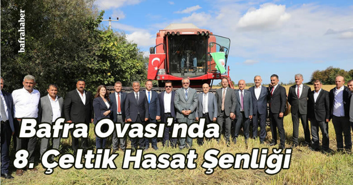 Bafra Ovası’nda 8. Çeltik Hasat Şenliği