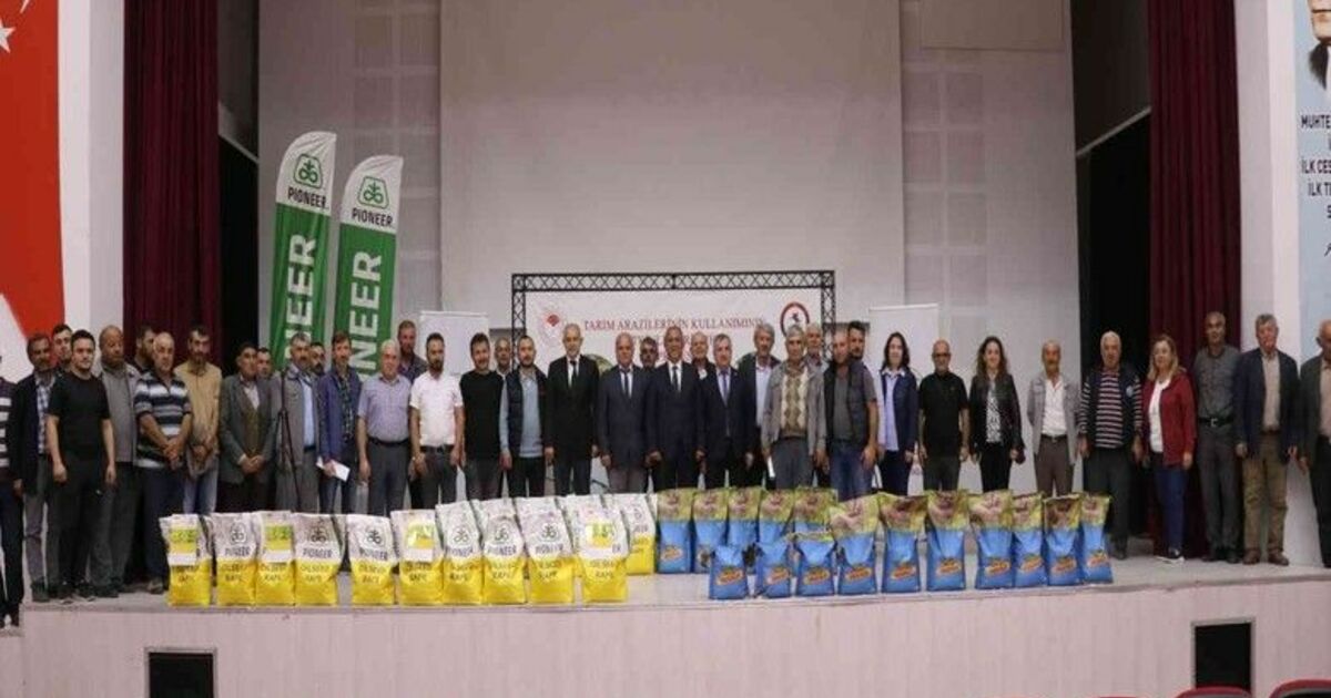 Samsun’da kanola üretimi artıyor
