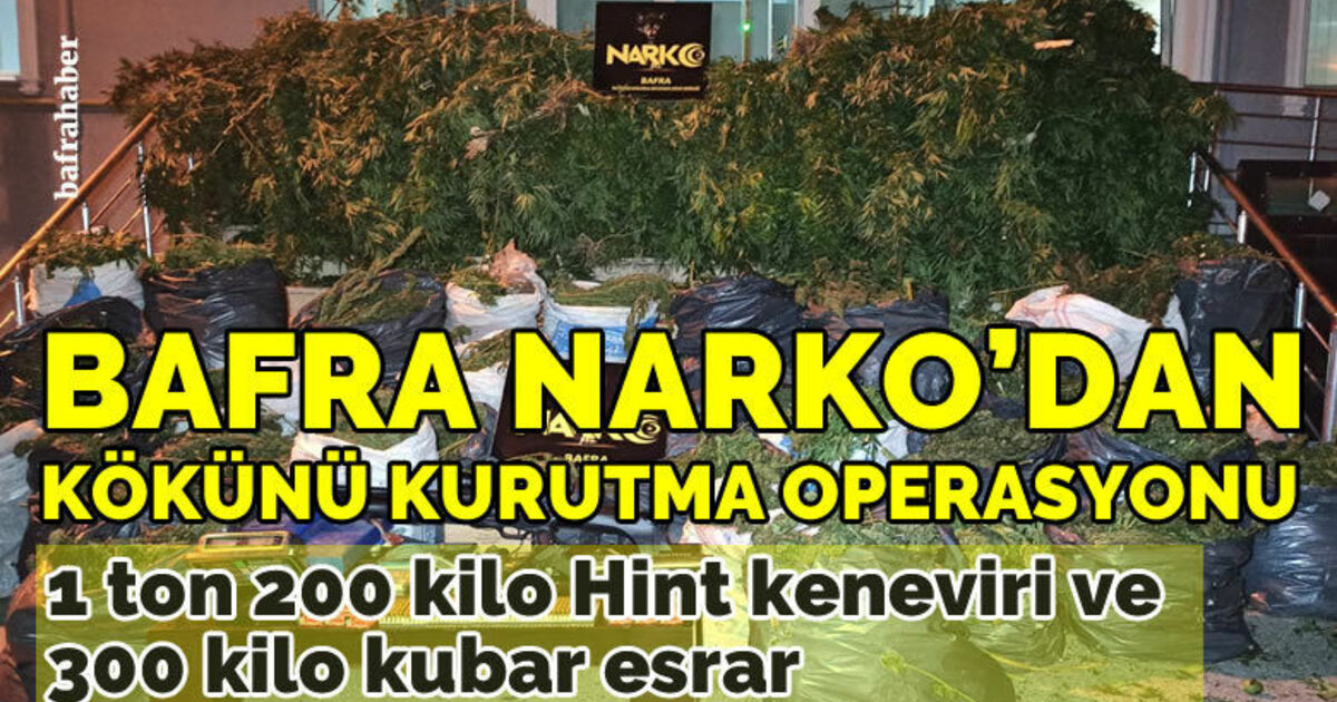 Bafra Narko'dan uyuşturucunun kökünü kurutma operasyonu