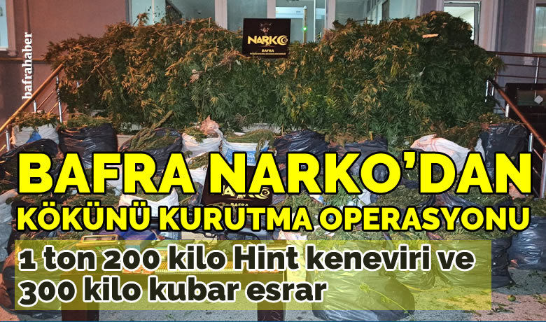 Bafra’da 1 ton 200 kilo Hint kenevirive 300 kilo kubar esrar ele geçirildi