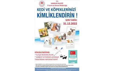 Samsun’da 7 bin 277 evcil hayvan mikroçip uygulanarak kayıt altına alındı
