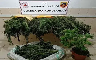 Jandarmadan uyuşturucu ve kaçakçılık operasyonları: 65 gözaltı
