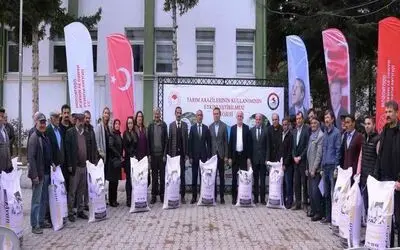 Samsun’da yerli ve milli buğday çeşitleri yaygınlaşıyor
