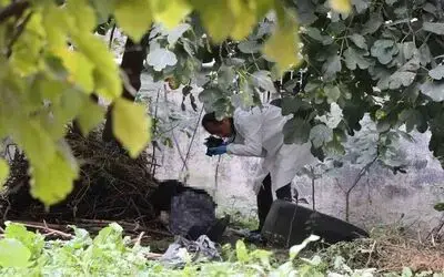 Yaşlı kadın incir ağacına asılı halde bulundu
