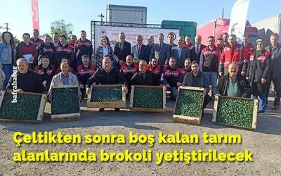 Çeltikten sonra boş kalan tarım alanlarında brokoli yetiştirilecek