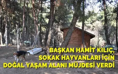 Başkan Hamit Kılıç, Sokak Hayvanları İçin Doğal Yaşam Alanı Müjdesi Verdi