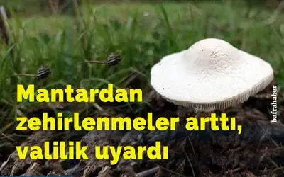 Mantardan zehirlenmeler arttı,  Samsun valiliği uyardı