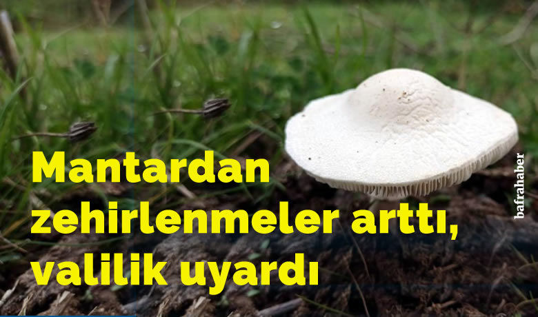 Mantardan zehirlenmeler arttı,Samsun valiliği uyardı