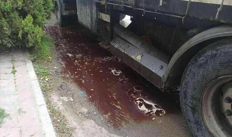 Deri yüklü tırdan akan kan çevreyi kirletti - Samsun’un Bafra ilçesinde deri yüklü tırdan akan kan ve yayılan kötü koku, çevre kirliliğine yol açtı. Araç sahibine 604 lira para cezası yazıldı.
