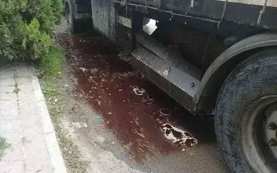 Deri yüklü tırdan akan kan çevreyi kirletti