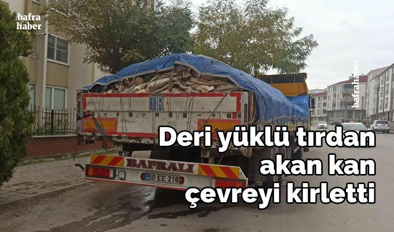 Deri yüklü tırdan akan kan çevreyi kirletti