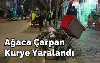 Ağaca Çarpan Kurye Yaralandı