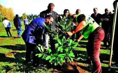 Terme’de fidanlar toprakla buluştu
