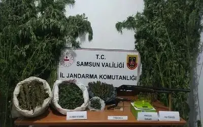 Samsun’un 10 ay 10 günlük uyuşturucu raporu: 100’lerce kilo ve 100 binlerce kök uyuşturucu ele geçirildi
